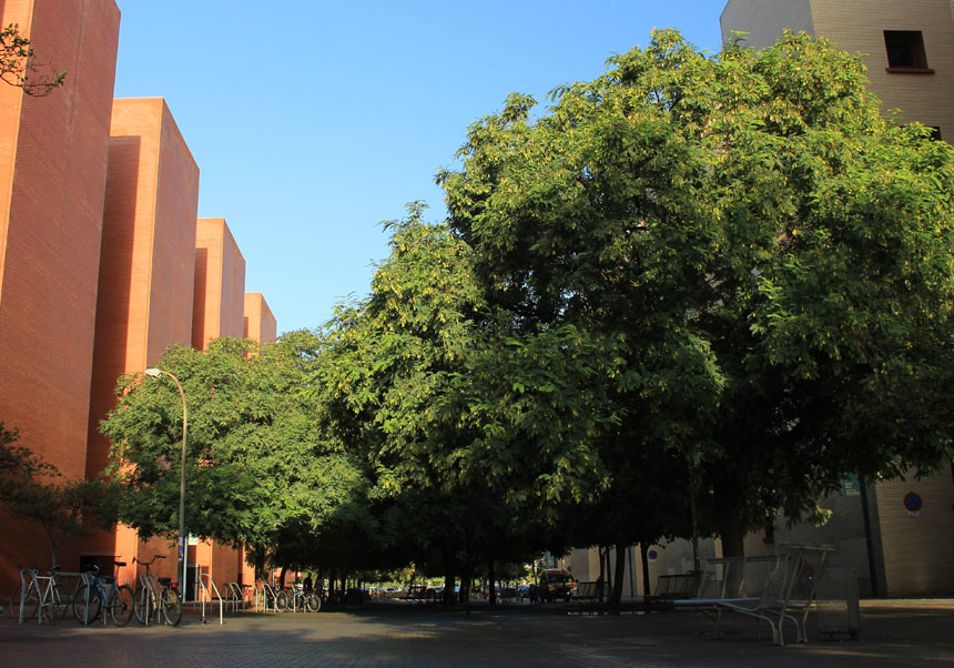 Campus de Tarongers de la Universitat de València.
